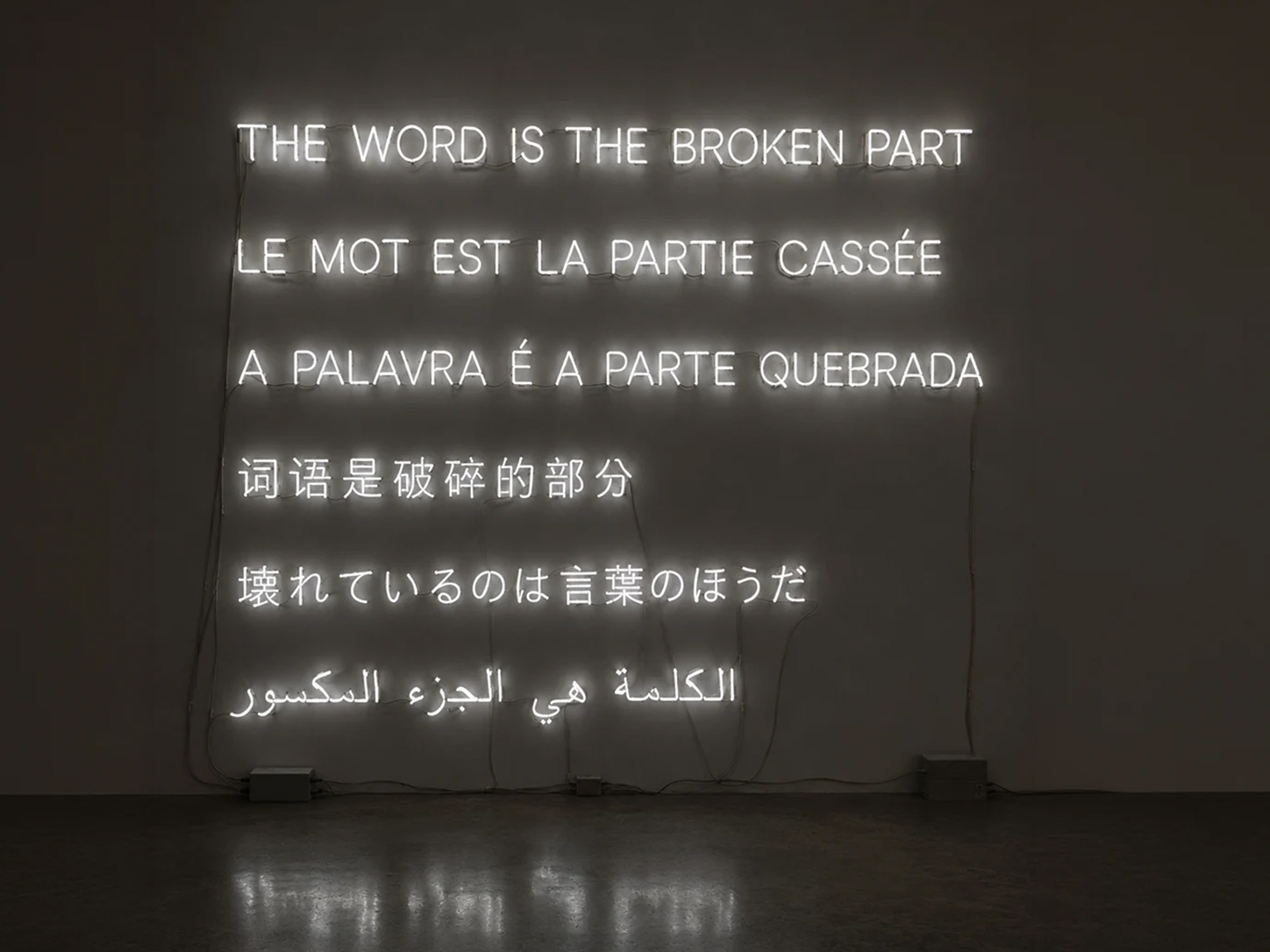 Physical multilingual neon letters mounted on a gallery wall